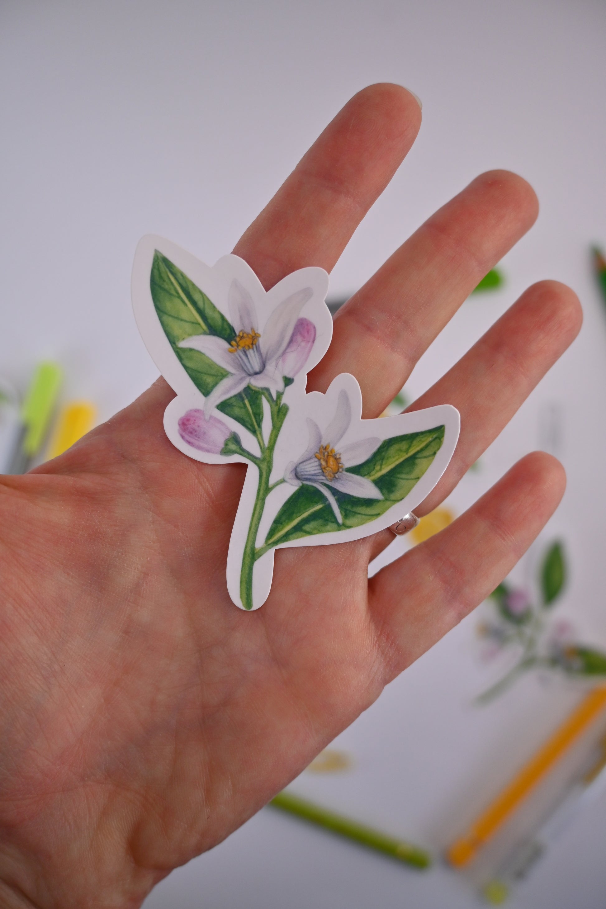 photo of a sticker featuring a lemon branch with blooms and leaves painted with watercolors