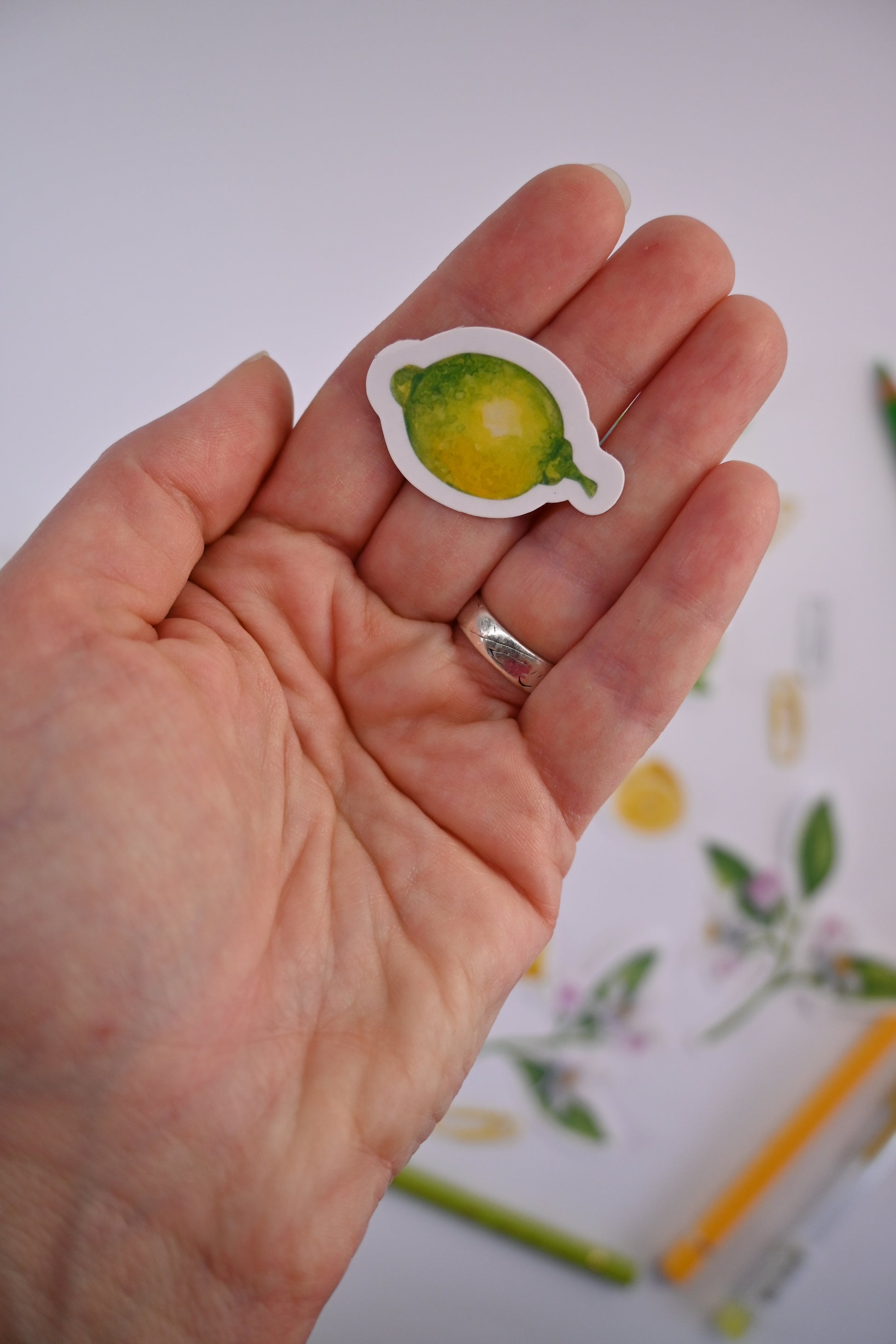 photo of a laminated sticker featuring a lemon painted with watercolors