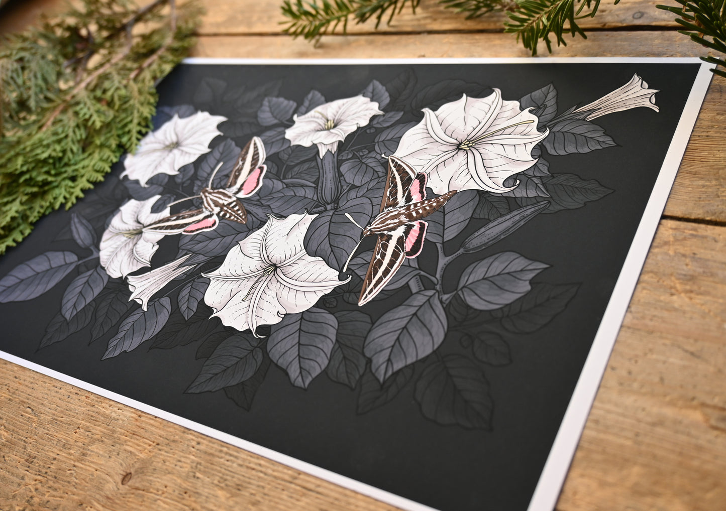 photo of a giclee print of Moonflowers and moths , close up