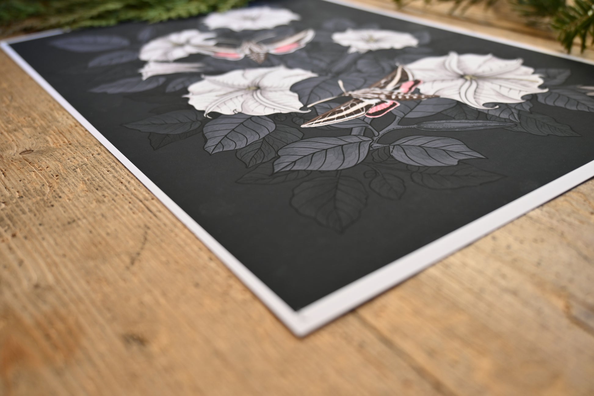 photo of a giclee print of Moonflowers and moths , corner close up