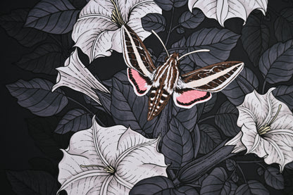 photo of a giclee print of Moonflowers and moths , close up