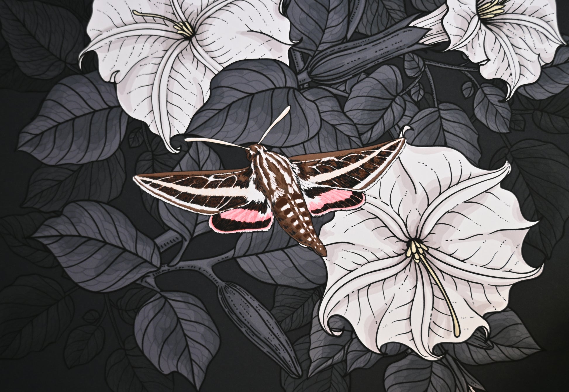 photo of a giclee print of Moonflowers and moths ,close up