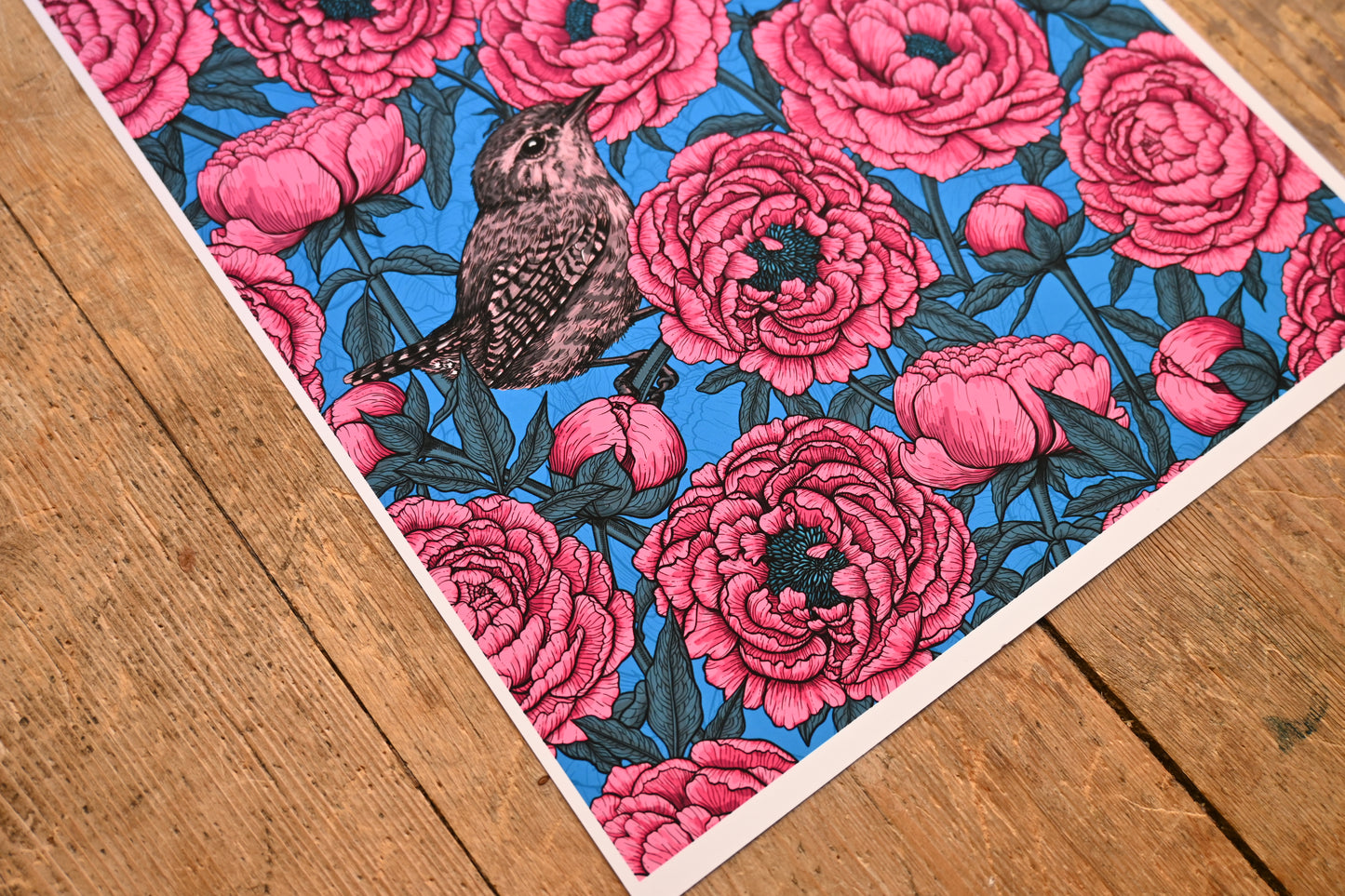 photo of Pink peonies and wrens Art Print, floral print, corner closeup