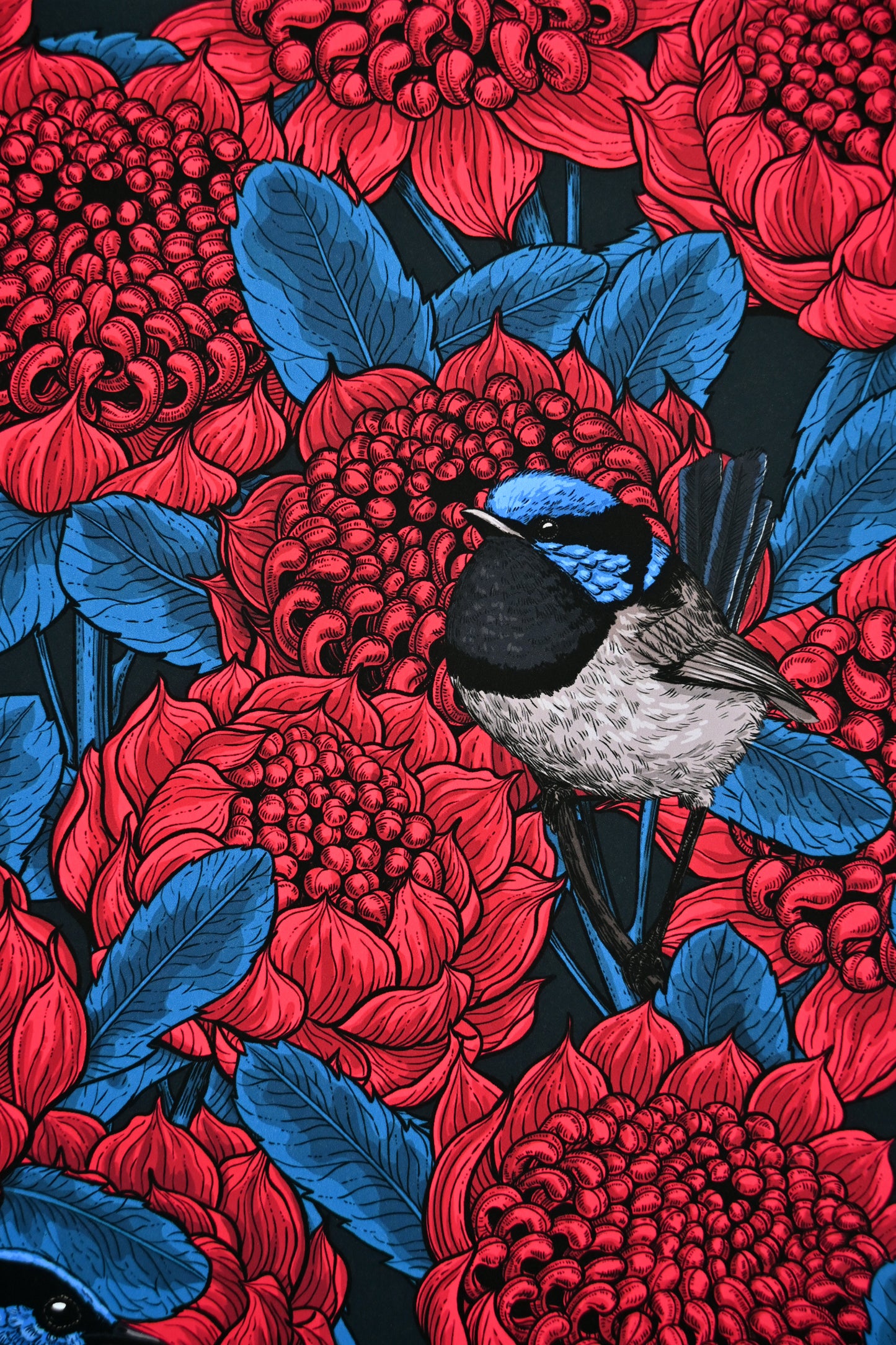 photo of a giclee print of Red waratah and fairy wrens , close up