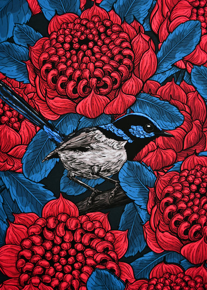 photo of a giclee print of Red waratah and fairy wrens ,close up