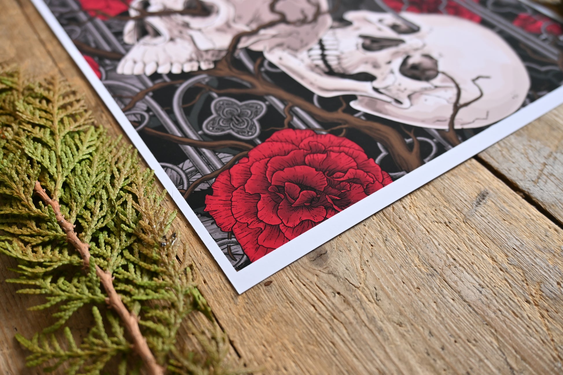 photo of a giclee print of Raven's Secret illustration featuring, roses, ravens and skulls, corner close up