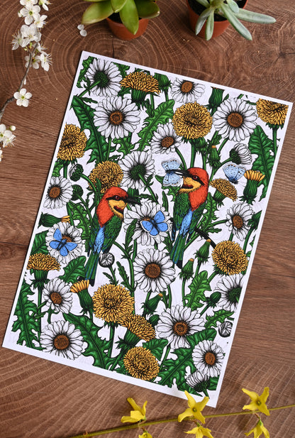 photo of a giclee print of Bee-eaters and wildflowers illustration featuring bee - eater birds, dandelions, daisies and common blue butterflies