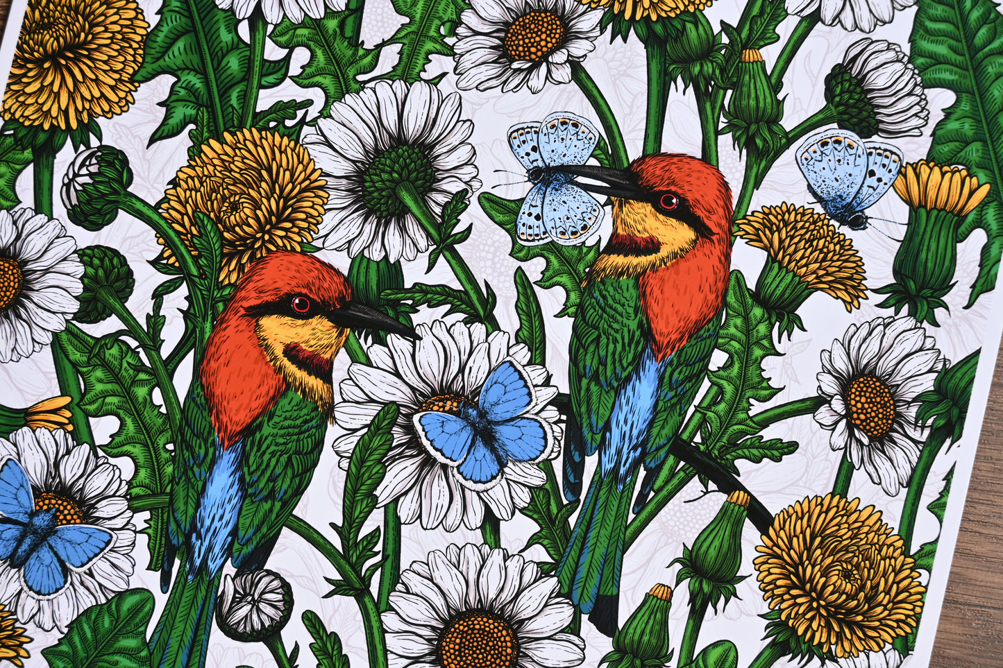 photo of a giclee print of Bee-eaters and wildflowers illustration featuring bee - eater birds, dandelions, daisies and common blue butterflies, close up