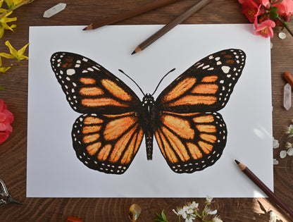 Monarch Butterfly Art Print,  Photo print, A3+, A3, A4, Giclée Print, Wall art, Nature-Inspired Wall Décor