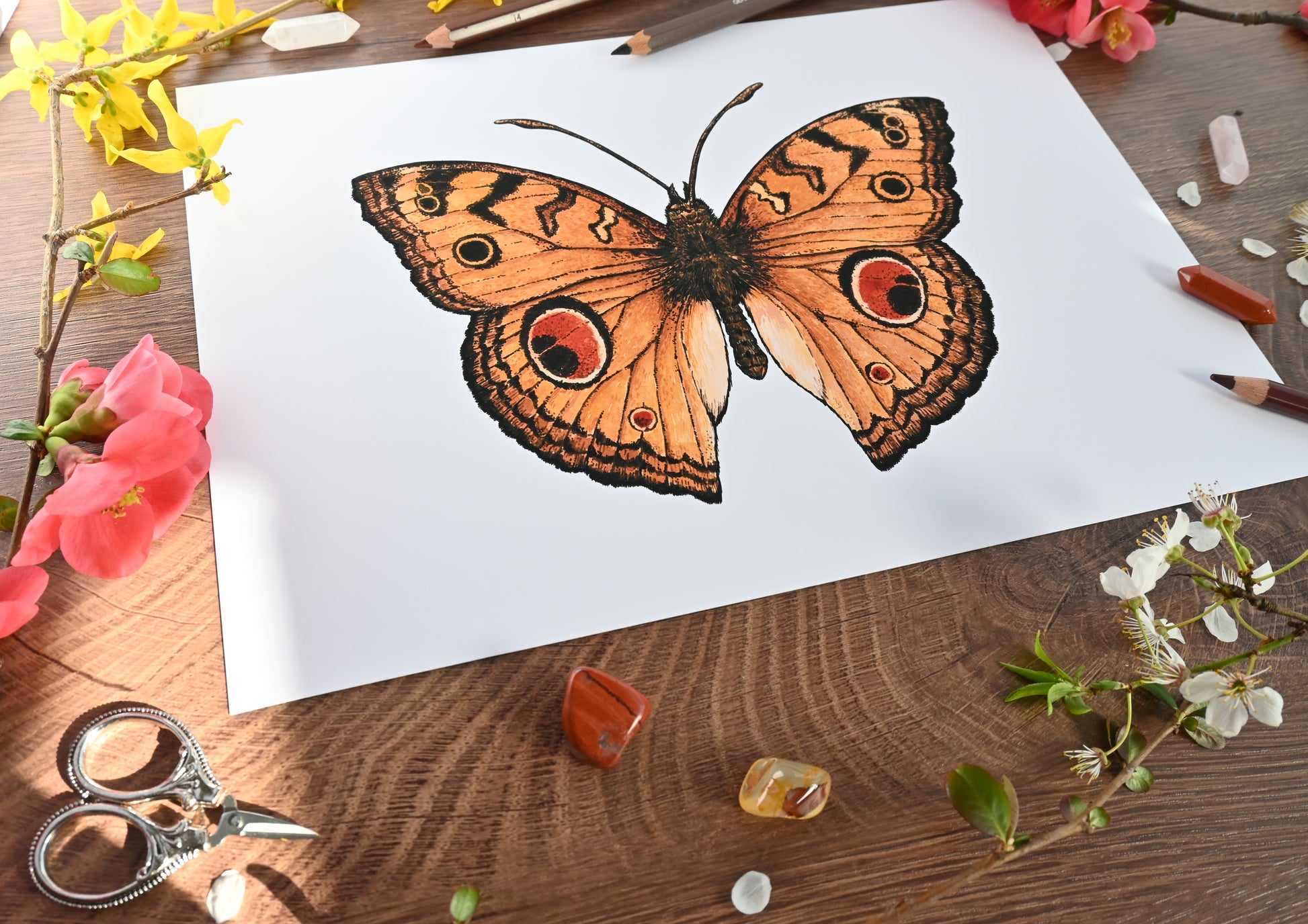 inkjet print of a peacock pansy butterfly watercolor painting 