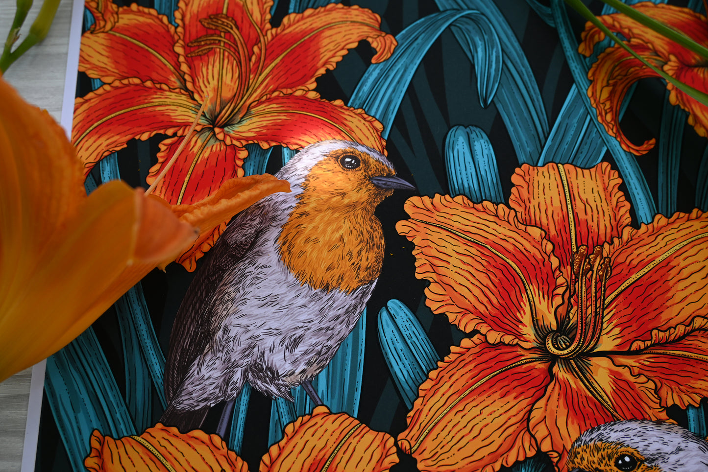 Photo of Robin birds and lily flowers art print, close up on the robin