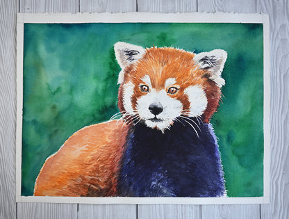 Watercolor painting of a red panda on a wooden surface