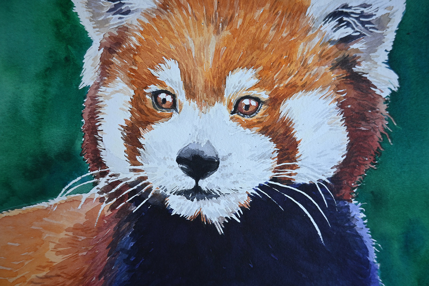 Close-up of a red panda painting with a green background