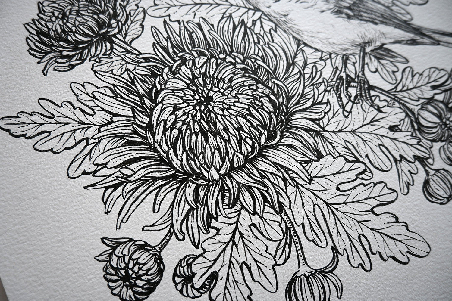 Black line drawing of a floral design on a textured white background