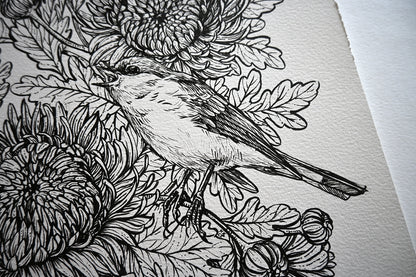 close up of a Black and white illustration of a bird on floral branches