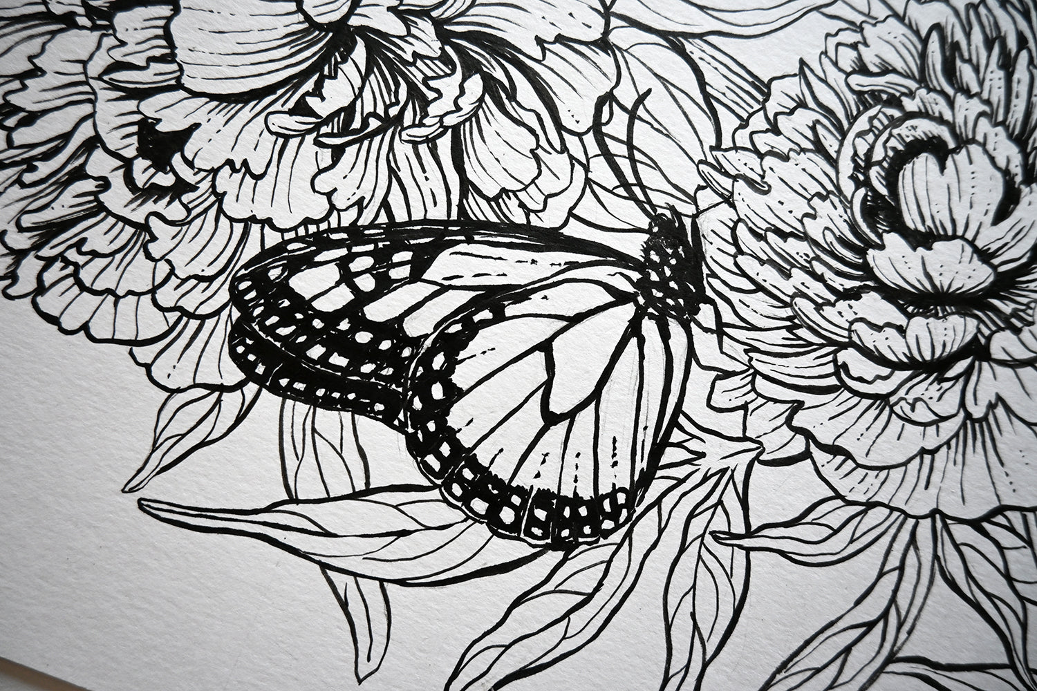 Black and white line drawing of a butterfly on flowers