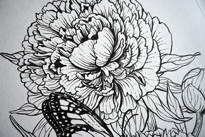 Close up of an ink drawing of a peony flowers and monarch butterfly