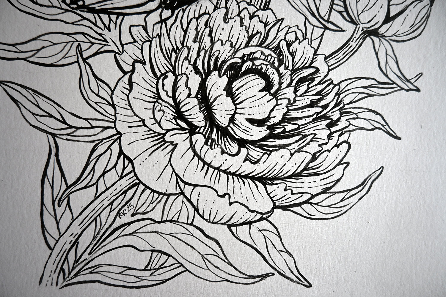 Black line drawing of a floral design on a white background