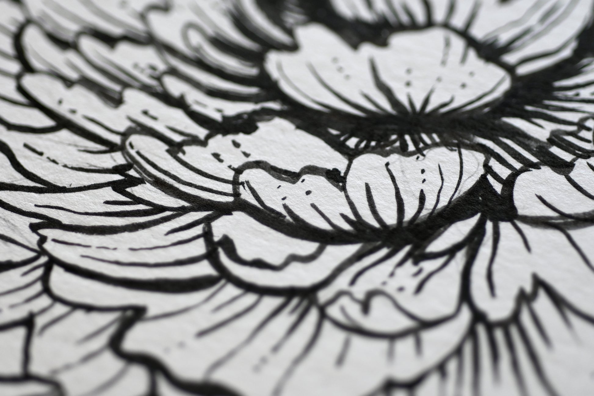 detail of the ink painting "Peonies and monarch butterfly" 