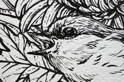 Black and white line drawing of a bird's face with detailed feathers.