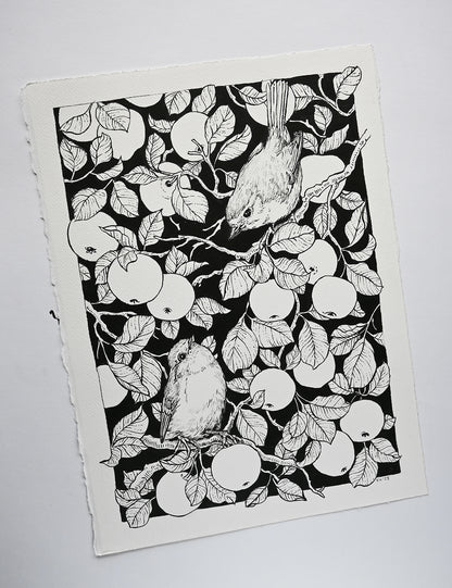 Black and white illustration of birds and apples on a white background