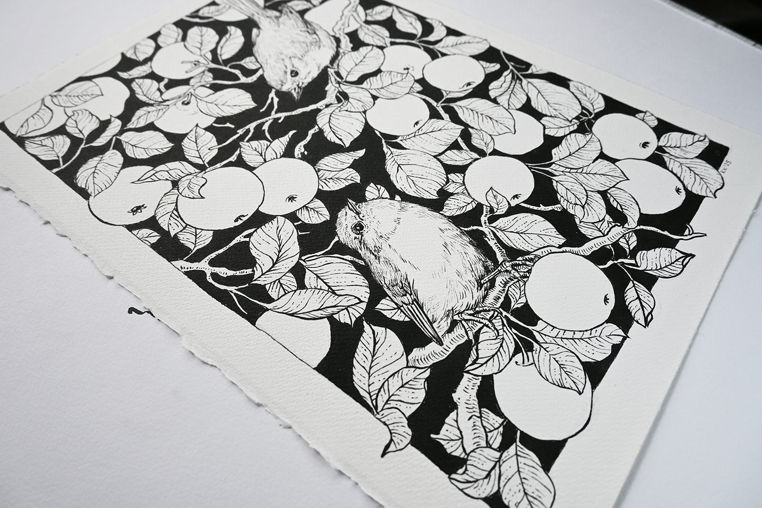 Black and white illustration of birds and fruit on a textured paper background