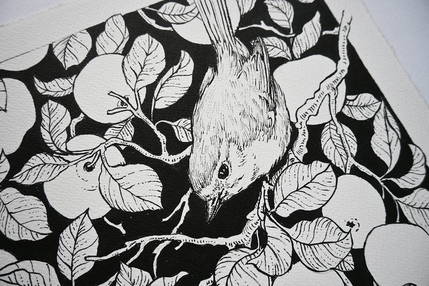 Black and white illustration of a bird on a branch with leaves