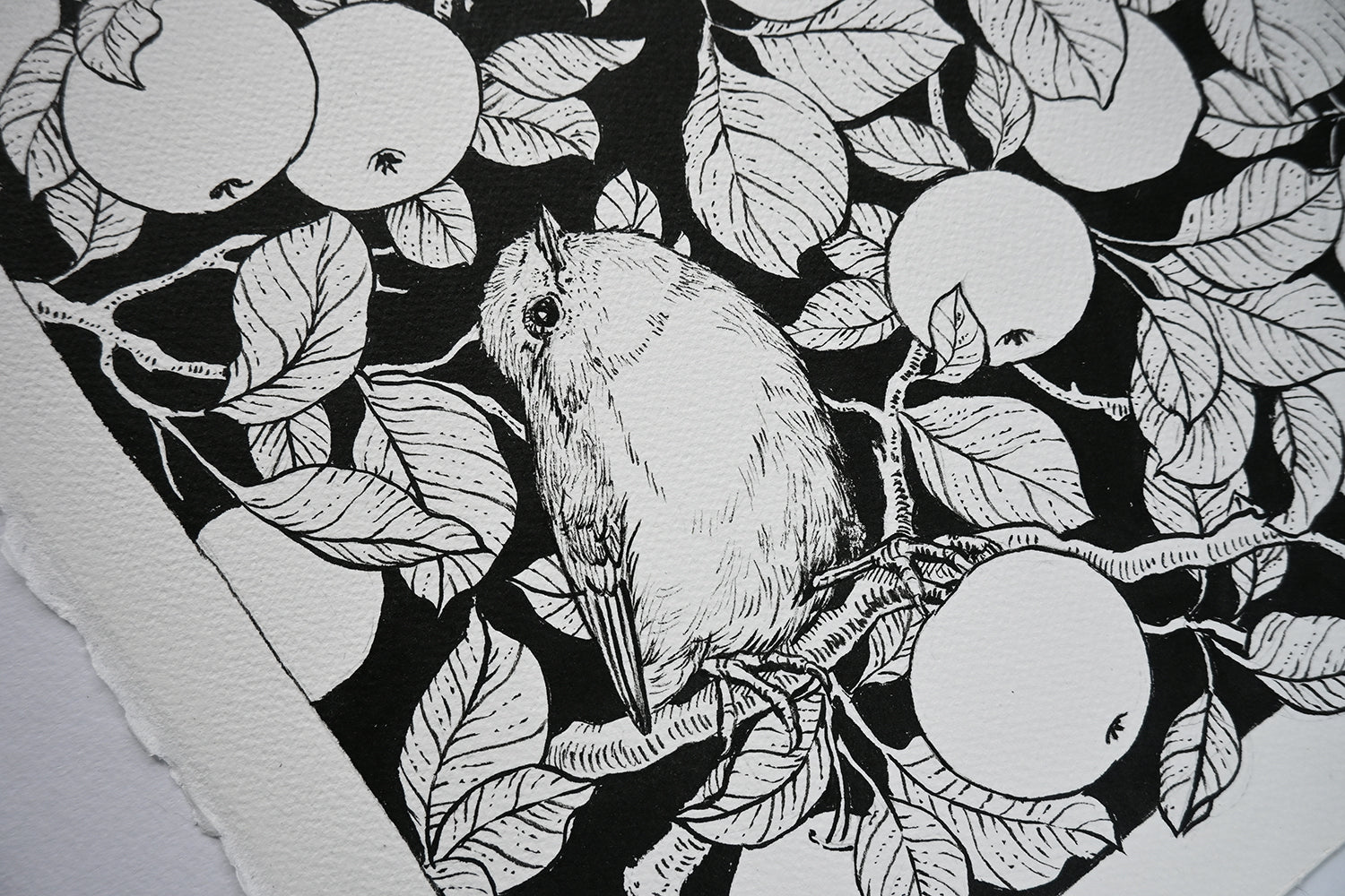 Black and white illustration of a bird on a branch with leaves and apples.