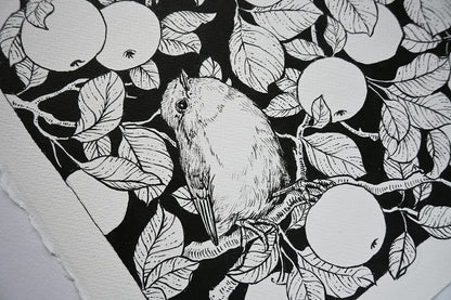 Black and white illustration of a bird on a branch with leaves and apples.