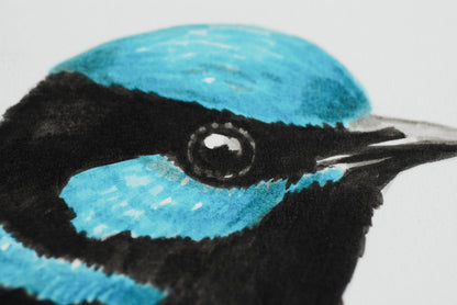 Close-up of a bird with blue head and black body on a light gray background