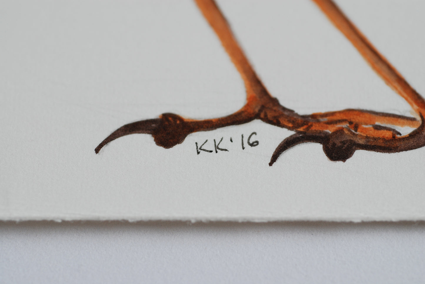Close-up of a Fairy wren legs with 'KK'16' inscription on a white background