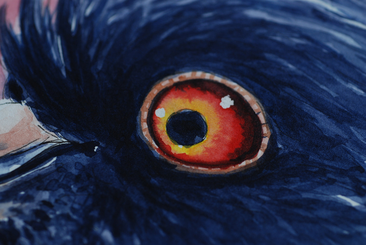 Close-up of a bird's eye with detailed feathers