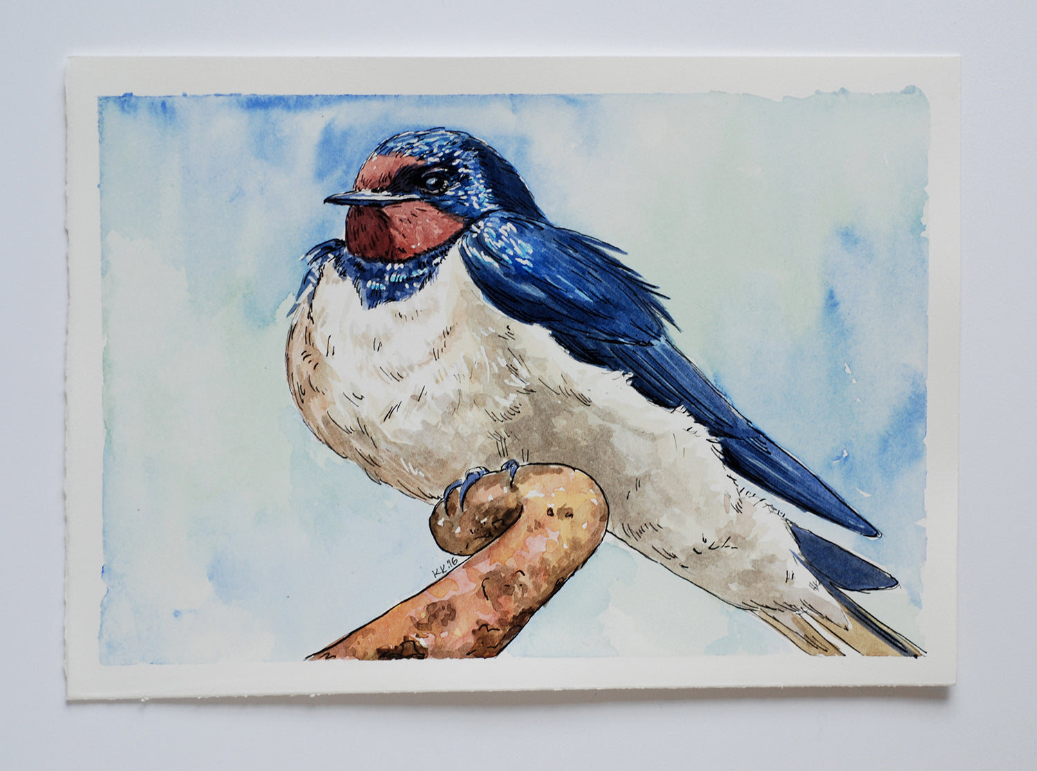 Watercolor painting of a swallow perched on a branch with a blue and white background