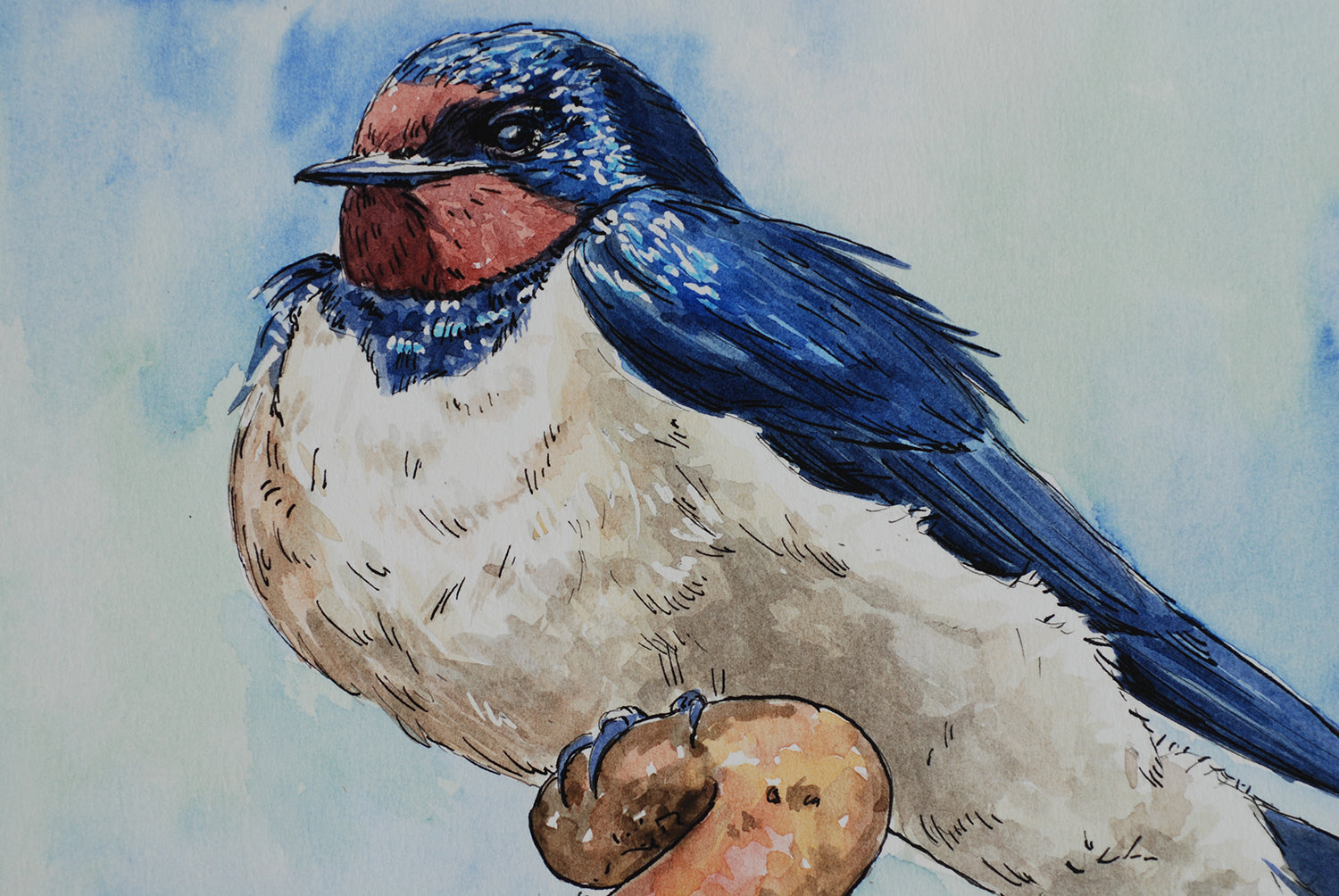 Artistic depiction of a bird with blue and red features on a light blue background