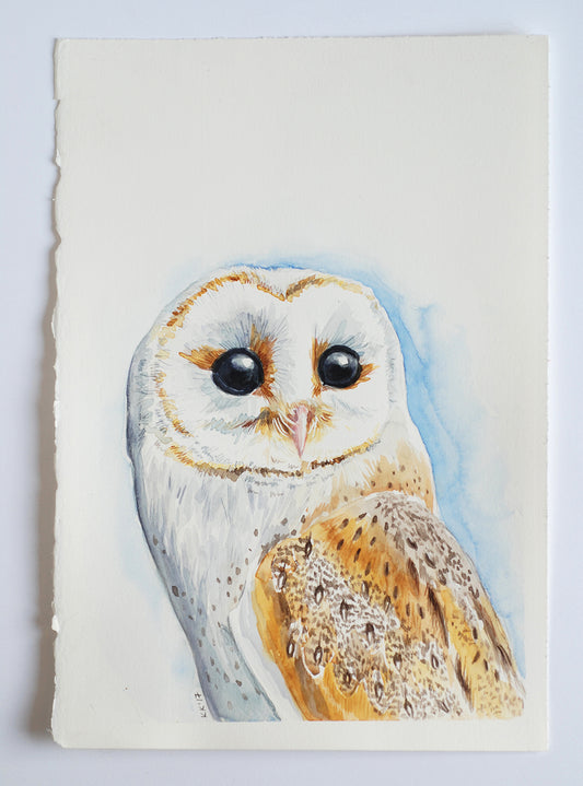 Watercolor painting of an owl on a white background