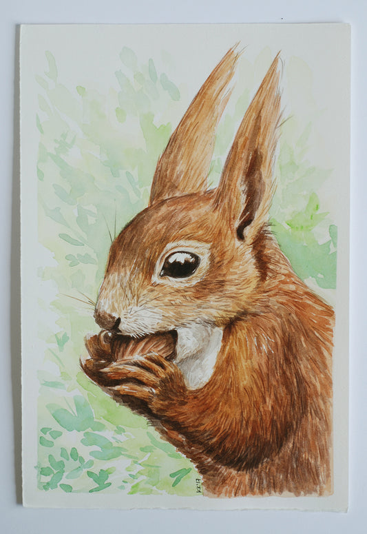 Illustration of a squirrel holding a nut with a natural background