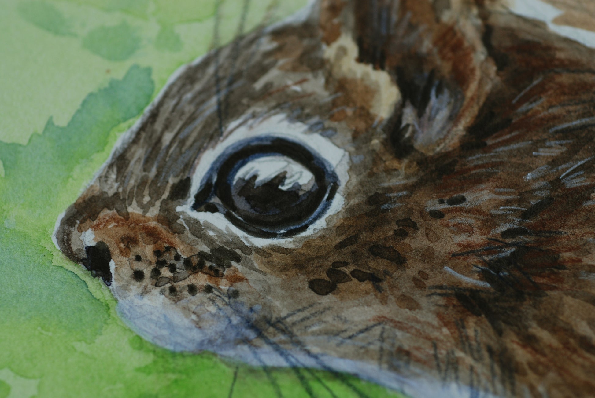 Close-up of a squirrel's face with a green leaf background