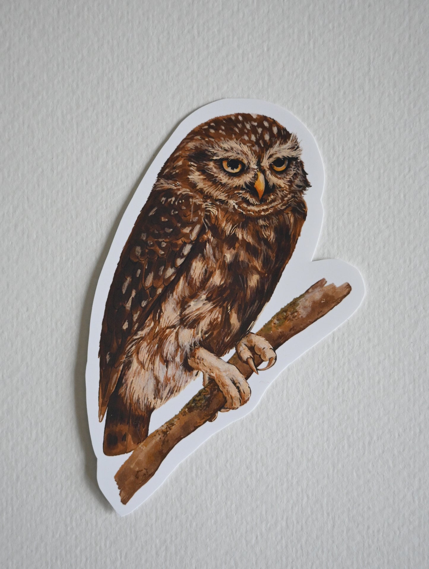 Sticker of an owl perched on a branch against a plain background