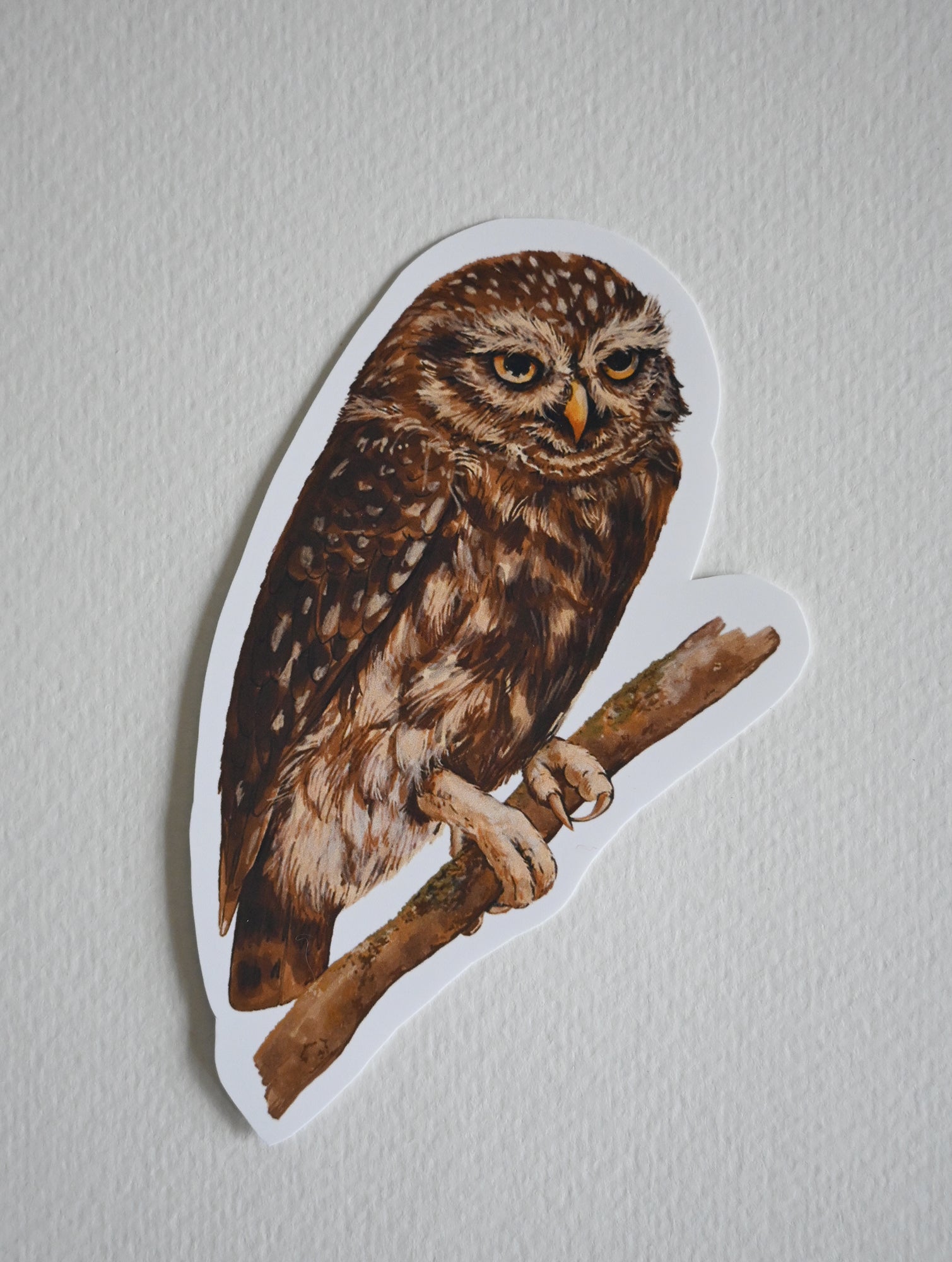 Sticker of an owl perched on a branch against a plain background