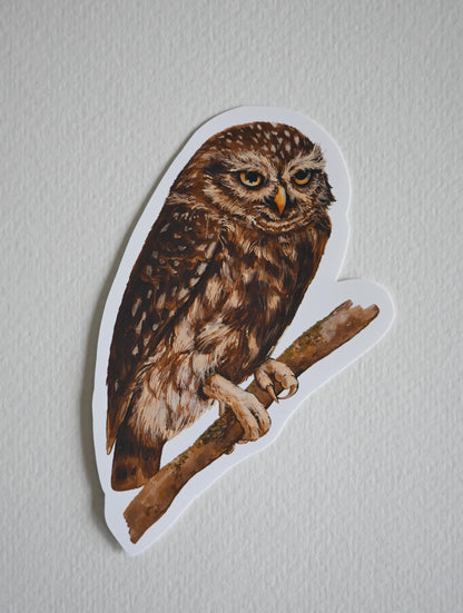 Sticker of an owl perched on a branch against a plain background