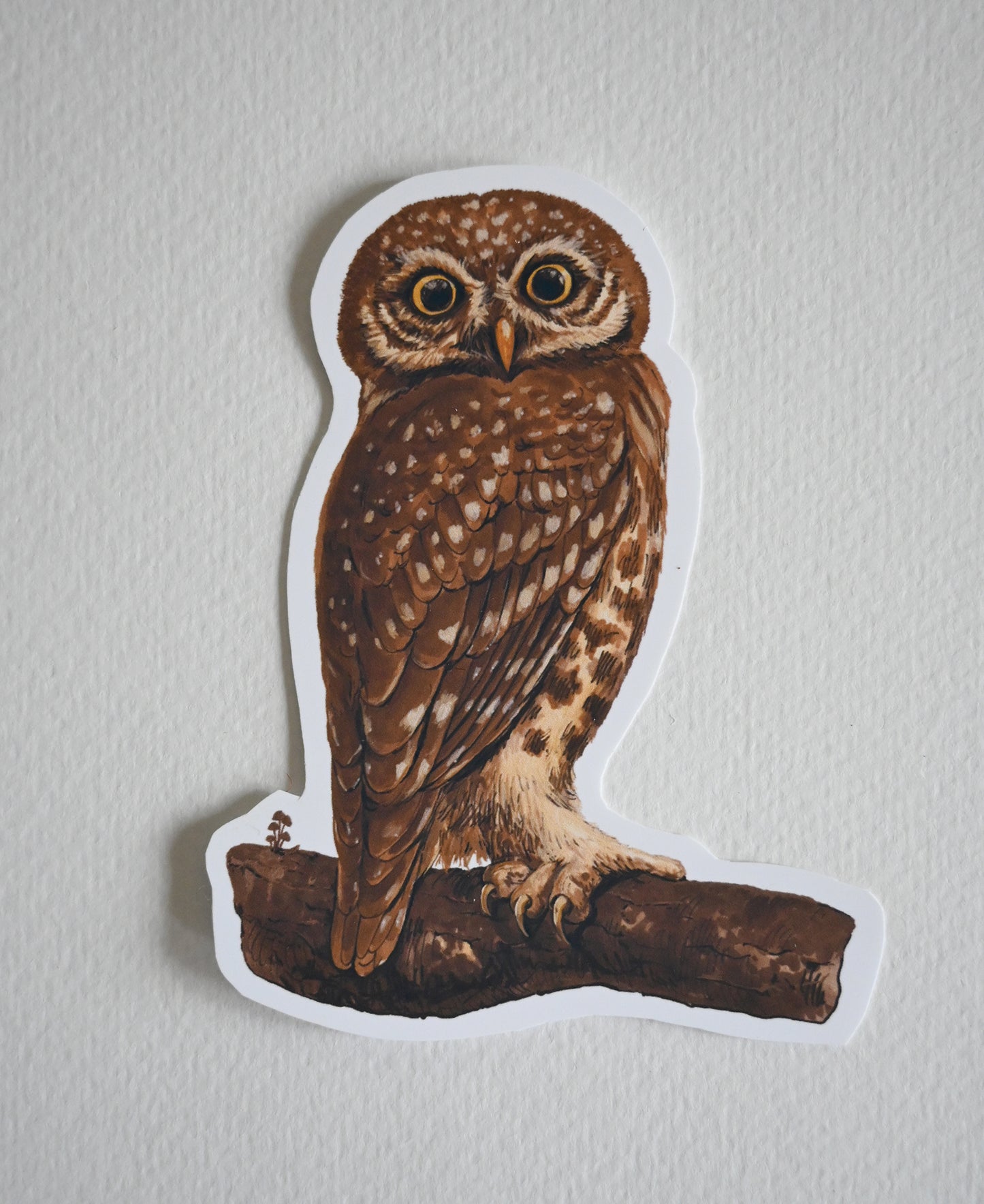 Sticker of an owl on a branch against a white background