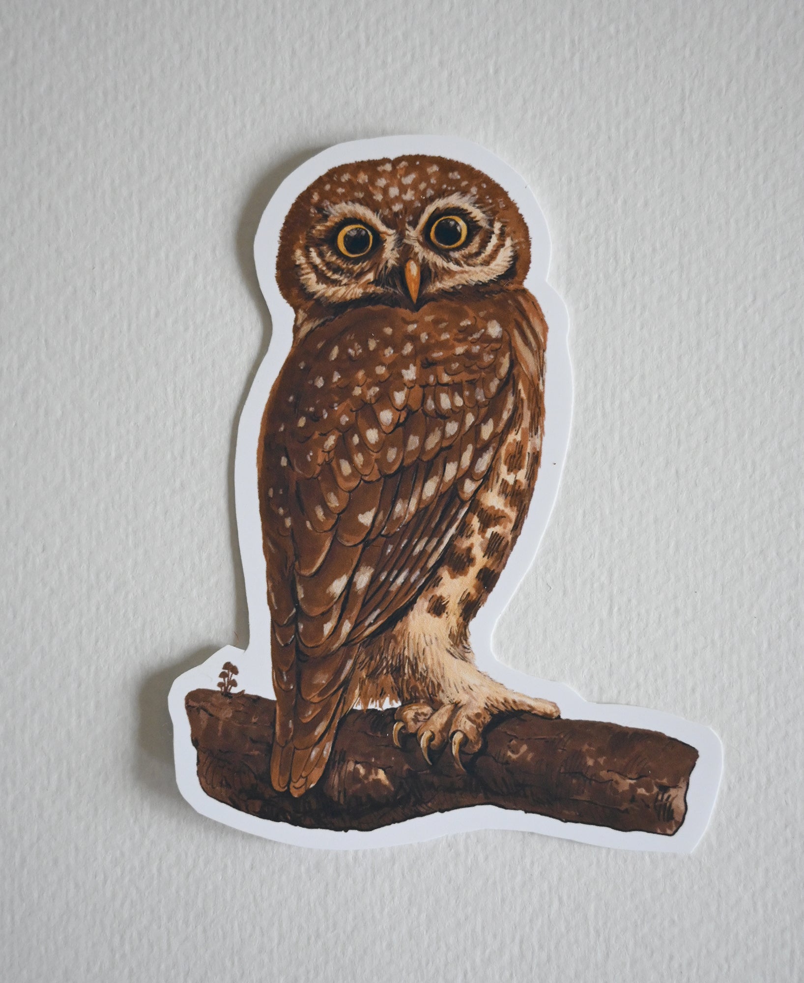 Sticker of an owl on a branch against a white background