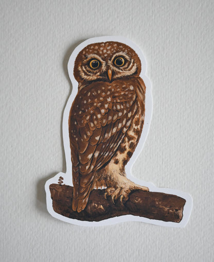 Sticker of an owl on a branch against a white background