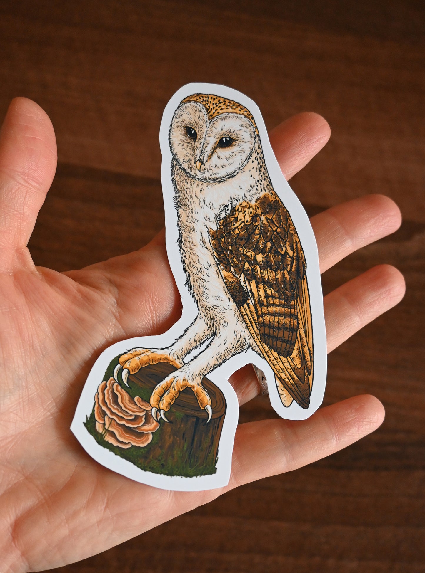 Hand holding a sticker of an owl on a wooden surface