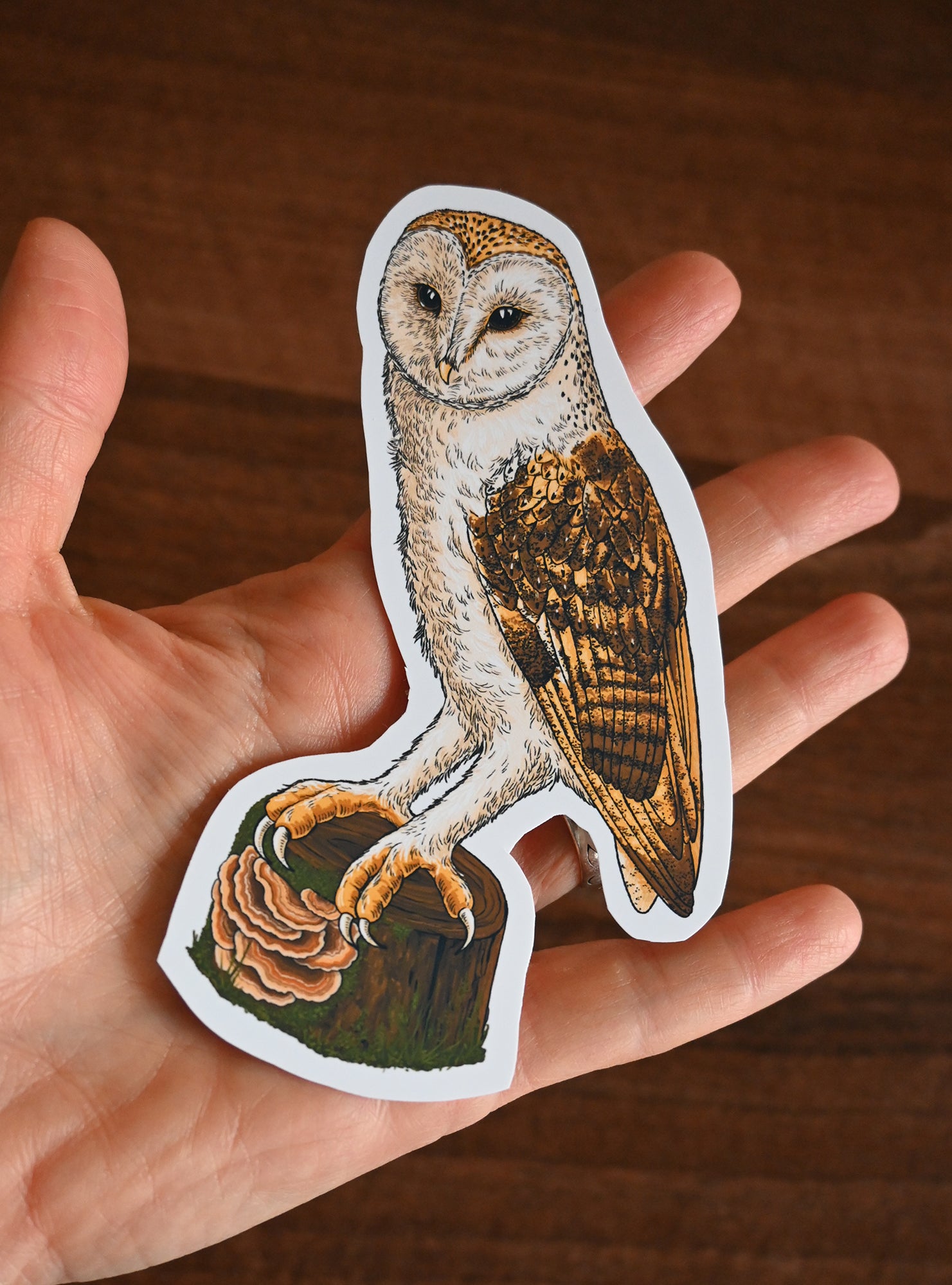 Hand holding a sticker of an owl on a wooden surface