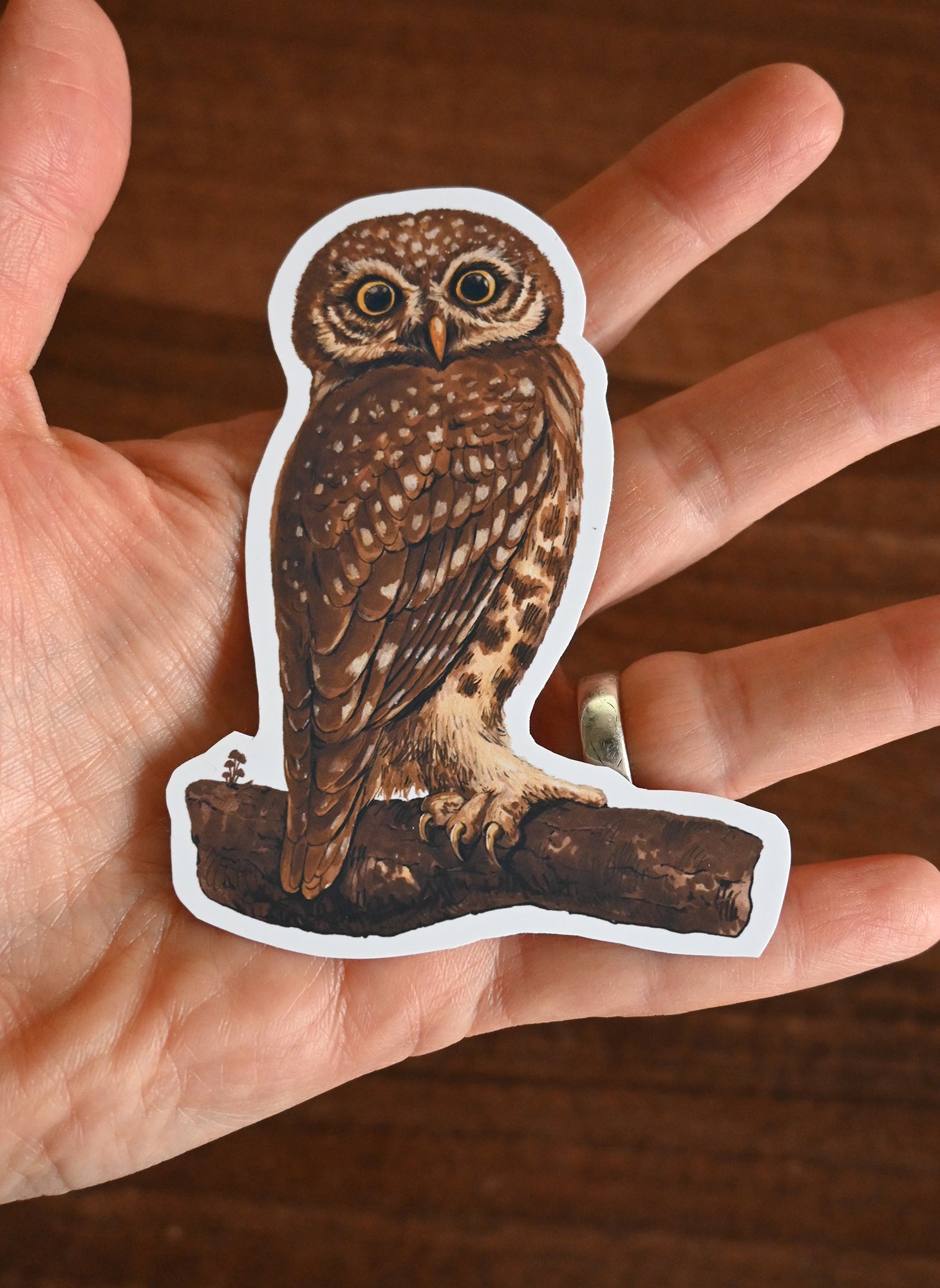 Sticker of an owl held in a hand against a wooden background