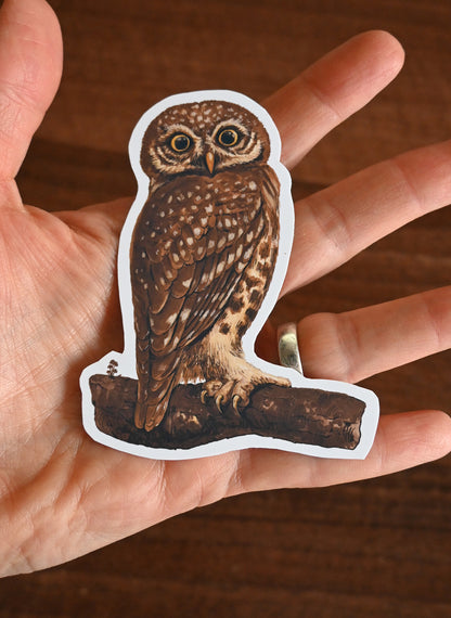 Sticker of an owl held in a hand against a wooden background