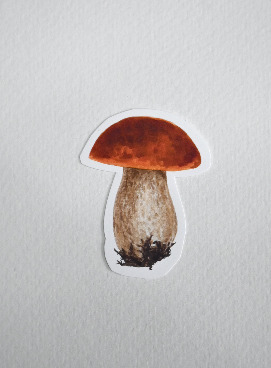 Sticker of a mushroom with a brown red cap- penny bun  on a white background