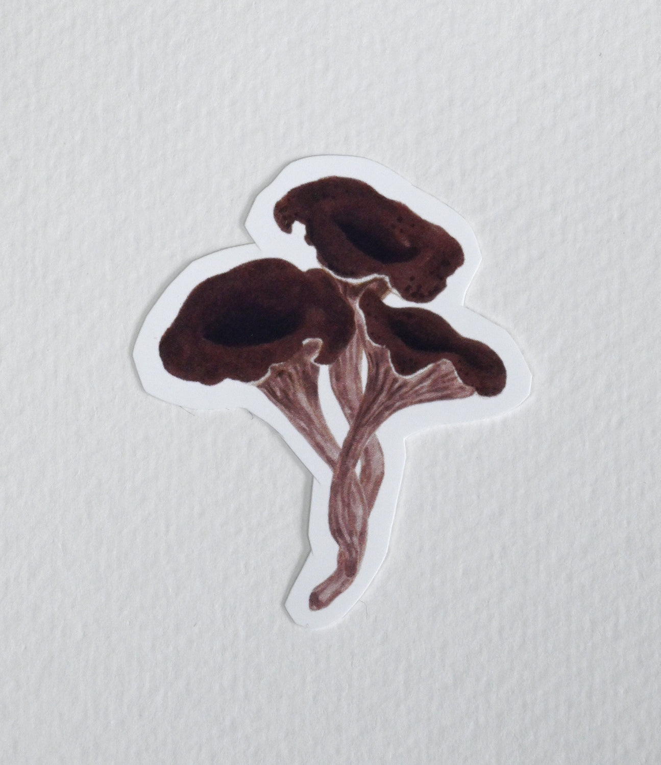 Sticker of a brown mushroom- horn of plenty on a textured white background