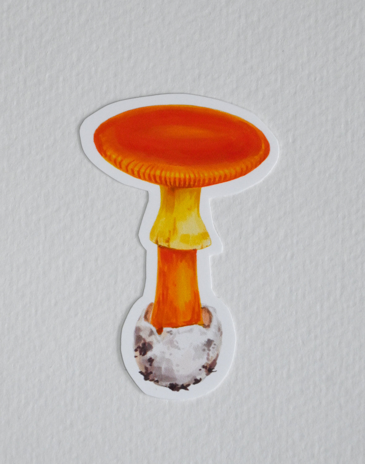 Sticker of a Caesar’s Mushroom on a white background